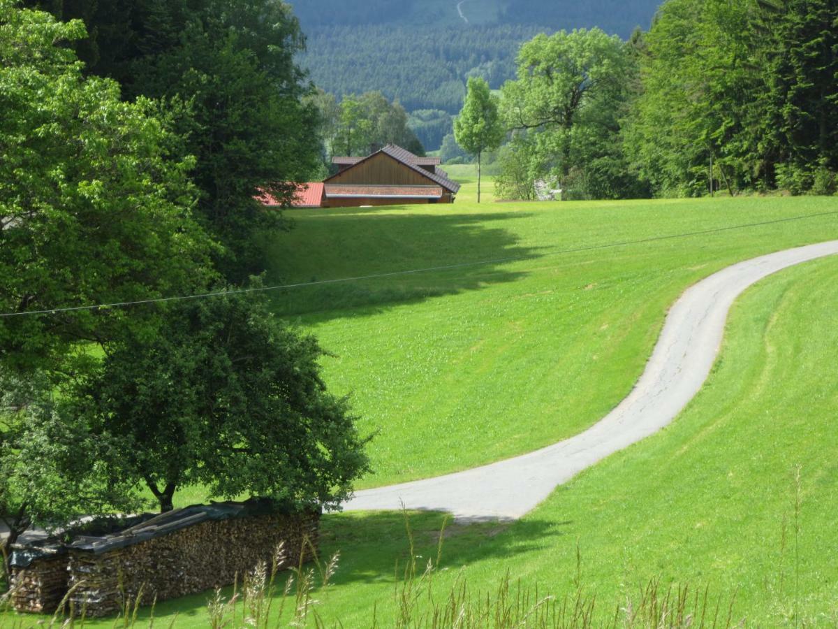 Ferienwohnungen Haus Panorama Neuschönau Exteriér fotografie